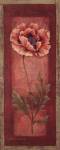 Red Door Poppy by Pamela Gladding