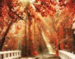 Red for Rest by Lars Van De Goor