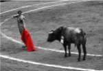 Red Matador I