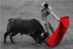Red Matador II