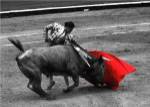 Red Matador III