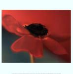 Red on Turquoise by Jane Ann Butler