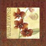 Red Orchid Square I by Julie Ueland