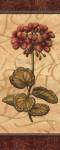 Red Passion Geranium - mini by Charlene Audrey