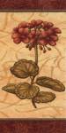 Red Passion Geranium - Petite by Charlene Audrey
