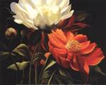 Red Peony by Diann Haist