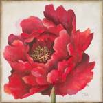 Red Peony by Patricia Pinto