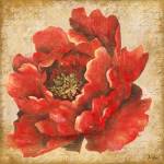 Red Peony on Gold (without stem) by Patricia Pinto