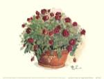 Red Rose Portrait by Peggy Abrams