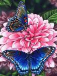 Red Spotted Purple Butterfly by Marilyn Barkhouse