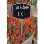 Red Tulips by John Jones
