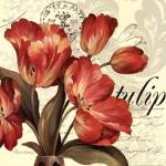 Red & White II by Pamela Gladding