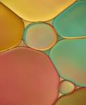 Red Yellow and Green Drops by Cora Niele