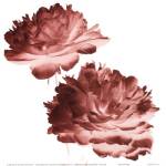 RedPeonies by Dick and Diane Stefanich