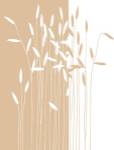 Reeds I by Takashi Sakai