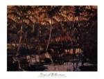 Reflections by Darrell Hill