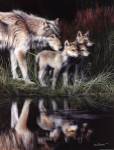 Reflections by Kevin Daniel