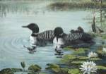 Reflections by Carol Decker