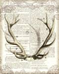 Regal Antlers on Newsprint I by Sue Schlabach