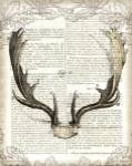 Regal Antlers on Newsprint II by Sue Schlabach