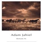 Remuda #6 by Adam Jahiel