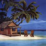 Rent To Own by J.T. Vegar