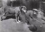 Retrieving The Ball by Getty Images