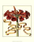Ribbon Florals I by Vision Studios