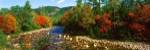 River flowing through a Forest, Swift River, White Mountain National Forest, New Hampshire by Panoramic Images