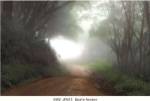 Road to Nowhere by Mike Jones