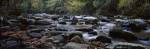 Rocks in a River, Great Smoky Mountains National Park, Tennessee by Panoramic Images