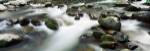 Rocks in Little Pigeon River, Great Smoky Mountains National Park, Tennessee by Panoramic Images