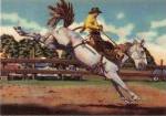 Rodeo I