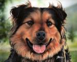 Roland by Marilyn Barkhouse
