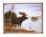 Ron Jenkins - Mighty Moose Size 16x20 by Ron Jenkins
