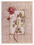 Rosa Antigua ll by Peggy Abrams