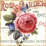 Rose Garden I by Lisa Audit