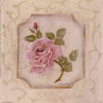 Rose In Season l by Peggy Abrams