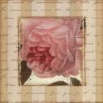 Rose & Romance II by Pela Design