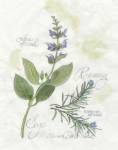 Rosemary & Sage by Elissa Della-Piana