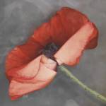 Rouge by Edward Clark