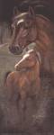 Ruane's Mariah by Ruane Manning