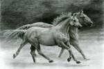 Running Free by Carla Kurt
