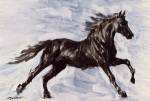 Running Free by Richard De Wolfe