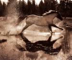 Running on Water III by Robert Dawson