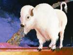 Sacred Spirit by Bob Coonts