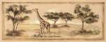 Safari Giraffe by Ann Brodhead