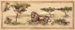 Safari Lion by Ann Brodhead