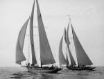 Sailboats Race during Yacht Club Cruise by Edwin Levick
