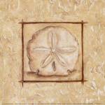 Sand Dollar by Kate McRostie